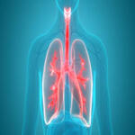 Respiratory Medicine & Chest Disease Specialist
