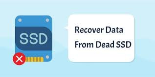 How to Recover Data from a Dead SSD Laptop: A Comprehensive Guide